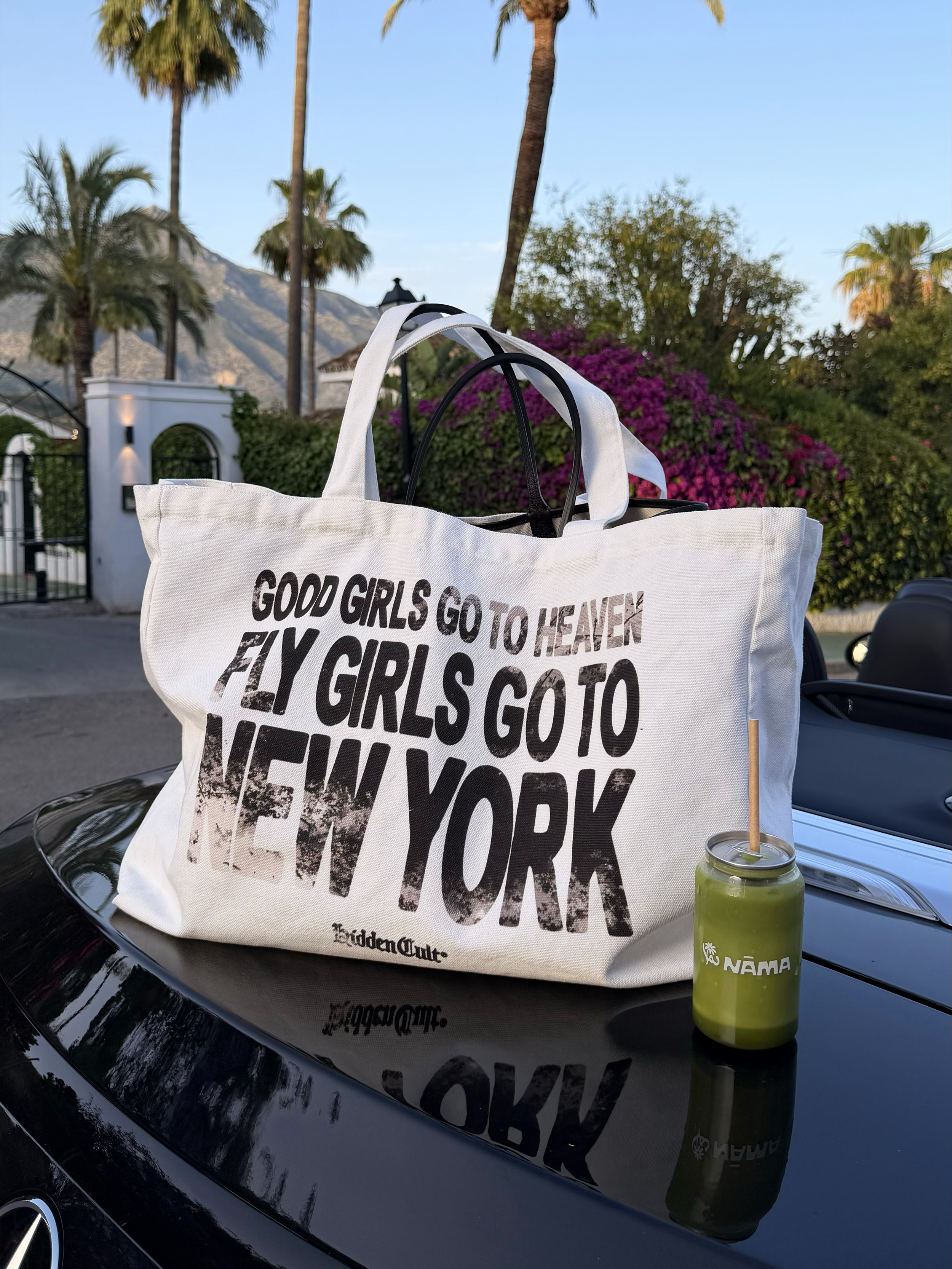 Fly Girls Go To NY Bag